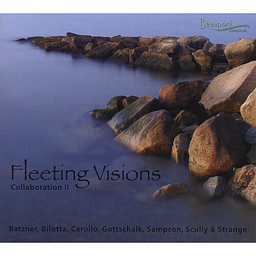Fleeting Visions Collaboration 2