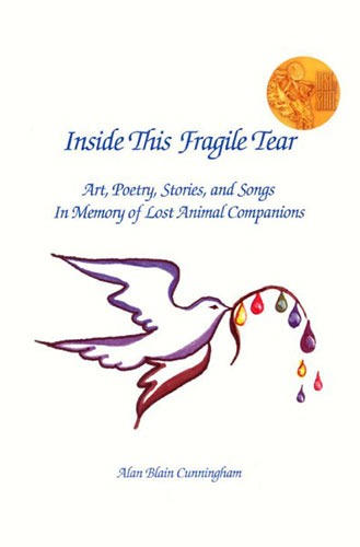Inside This Fragile Tear